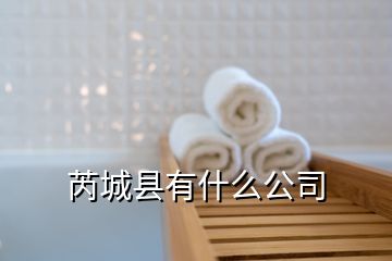 芮城縣有什么公司