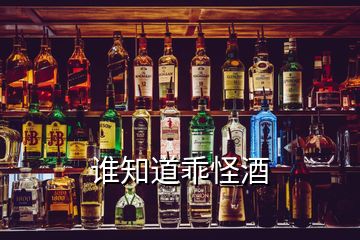 誰(shuí)知道乖怪酒