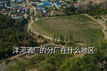 洋河酒廠的分廠在什么地區(qū)