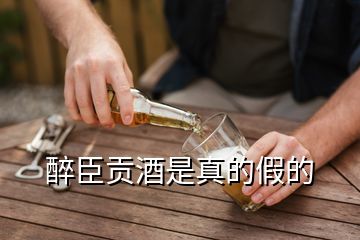 醉臣貢酒是真的假的