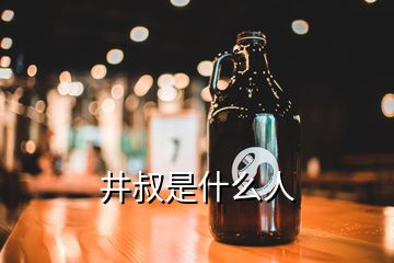 井叔是什么人