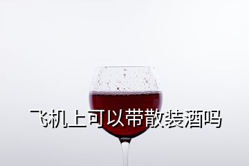 飛機上可以帶散裝酒嗎