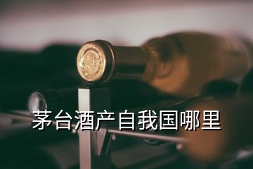 茅臺酒產自我國哪里