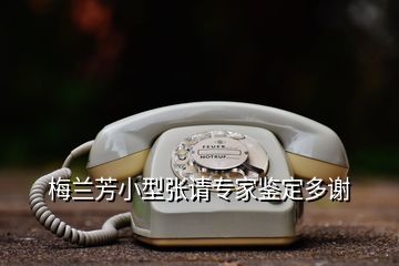 梅蘭芳小型張請專家鑒定多謝