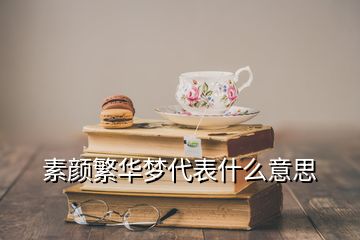 素顏繁華夢(mèng)代表什么意思