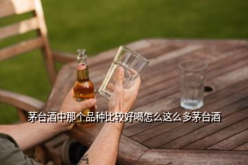 茅臺酒中那個品種比較好喝怎么這么多茅臺酒