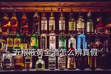 五糧液黃金酒怎么辨真假