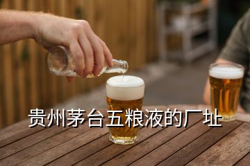 貴州茅臺(tái)五糧液的廠址