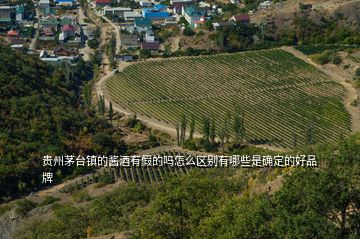 貴州茅臺(tái)鎮(zhèn)的醬酒有假的嗎怎么區(qū)別有哪些是確定的好品牌