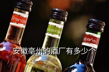 安徽亳州的酒廠有多少個