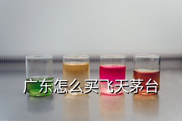 廣東怎么買(mǎi)飛天茅臺(tái)