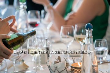 貴州茅臺十二生肖酒有什么收藏價值哪位行家給解答一下