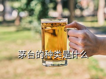 茅臺(tái)的種類是什么