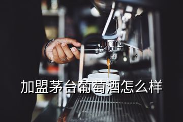 加盟茅臺(tái)葡萄酒怎么樣