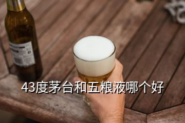 43度茅臺和五糧液哪個(gè)好