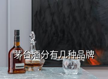 茅臺(tái)酒分有幾種品牌