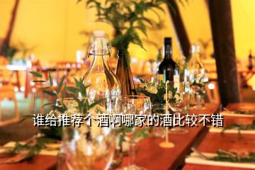 誰(shuí)給推薦個(gè)酒啊哪家的酒比較不錯(cuò)