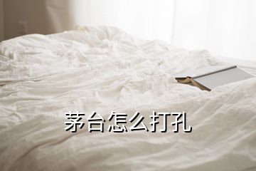 茅臺(tái)怎么打孔