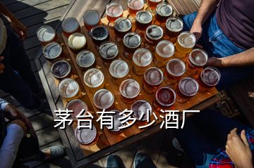 茅臺有多少酒廠