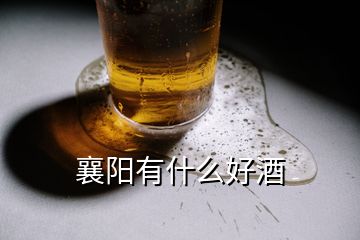 襄陽有什么好酒