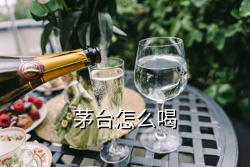 茅臺(tái)怎么喝