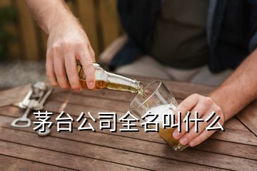 茅臺公司全名叫什么