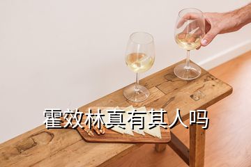 霍效林真有其人嗎