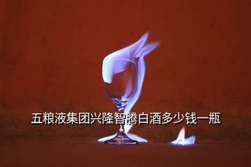 五糧液集團(tuán)興隆智騰白酒多少錢(qián)一瓶