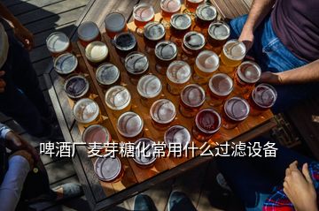 啤酒廠麥芽糖化常用什么過濾設備