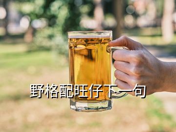 野格配旺仔下一句