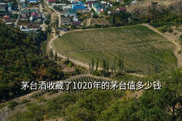 茅臺(tái)酒收藏了1020年的茅臺(tái)值多少錢(qián)