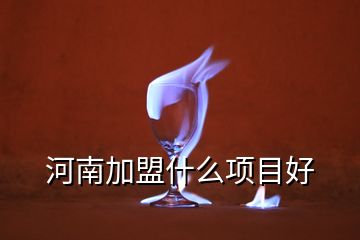 河南加盟什么項目好