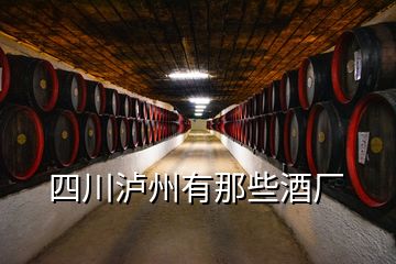 四川瀘州有那些酒廠