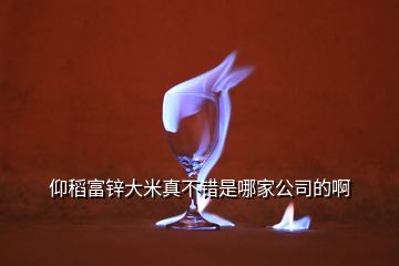 仰稻富鋅大米真不錯(cuò)是哪家公司的啊