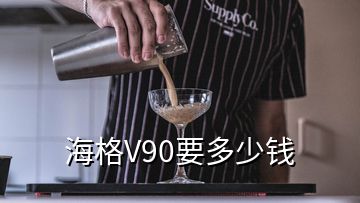 海格V90要多少錢