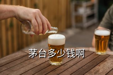 茅臺多少錢啊