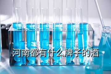 河南都有什么牌子的酒