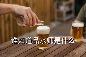 誰(shuí)知道品水師是什么