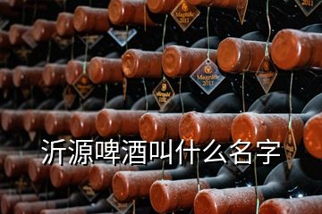 沂源啤酒叫什么名字