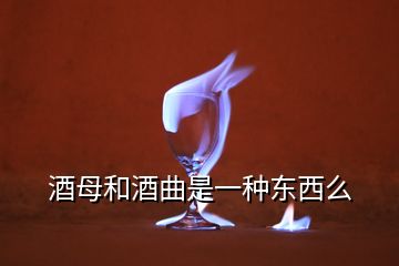 酒母和酒曲是一種東西么