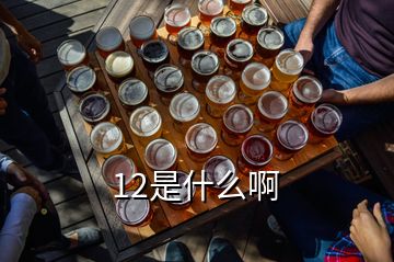 12是什么啊