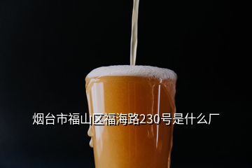 煙臺(tái)市福山區(qū)福海路230號(hào)是什么廠