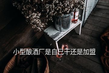 小型釀酒廠是自己干還是加盟