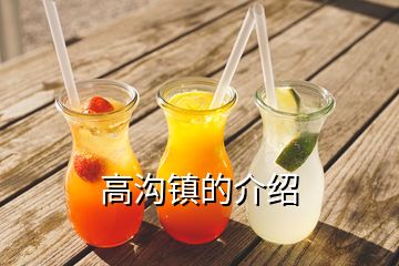 高溝鎮(zhèn)的介紹