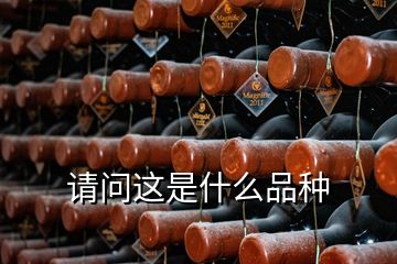 請(qǐng)問(wèn)這是什么品種