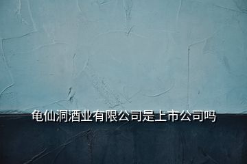 龜仙洞酒業(yè)有限公司是上市公司嗎