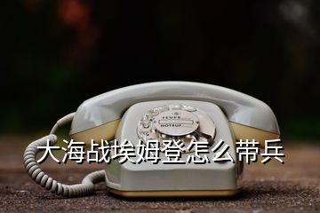 大海戰(zhàn)埃姆登怎么帶兵