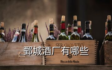 鄄城酒廠(chǎng)有哪些