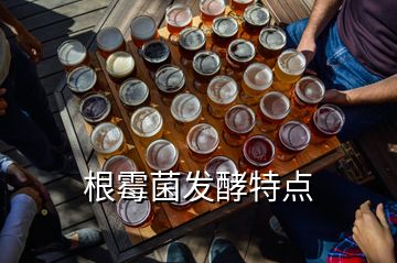 根霉菌發(fā)酵特點(diǎn)