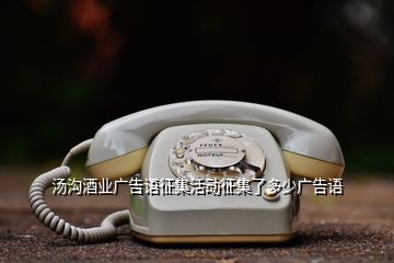 湯溝酒業(yè)廣告語征集活動征集了多少廣告語